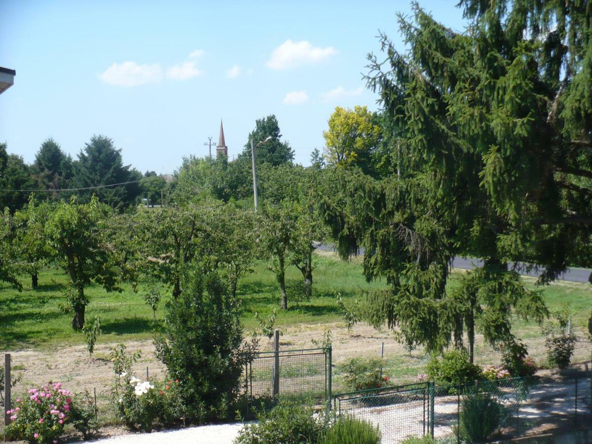 L'Albero Della Gioia Villanova sull'Arda Exterior photo